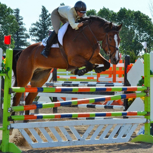 Rebecca Frisch Photo 23