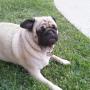Lorraine Aguilar Photo 40