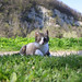 Alice Weathers Photo 10