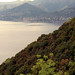 Rocco Macchia Photo 6