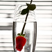 Joan Rose Photo 29