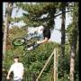 Lee Sweeney Photo 21