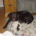 Annie Tierney Photo 10