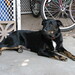 Justin Nickels Photo 22