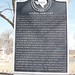 Ann Bonner Photo 16