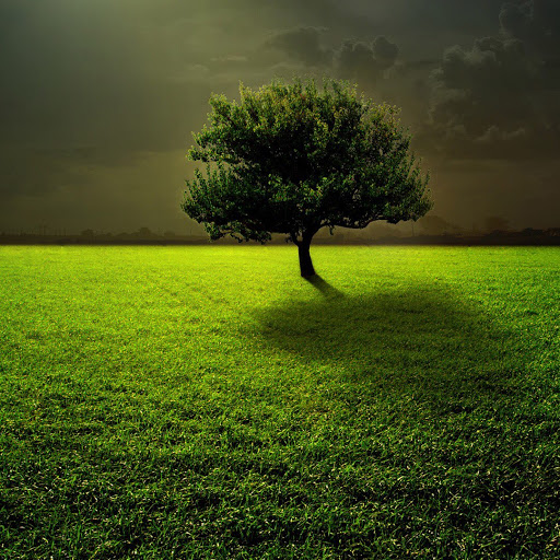 Laura Whiting Photo 40