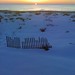 Andrew Shore Photo 29