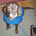 Charles Winters Photo 42