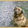 Kathy Blevins Photo 25