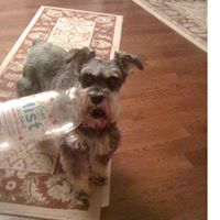Ann Schafer Photo 17