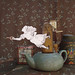 Alice Keys Photo 16