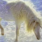 Tara Kirby Photo 6