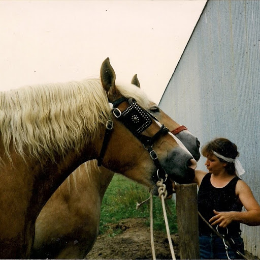 Susan Gorsuch Photo 4