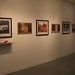 Melissa Holbrook Photo 15