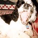 James Luckey Photo 43