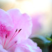 Terence Lang Photo 6