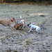 Nancy Forst Photo 11