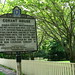 Elizabeth Conant Photo 11
