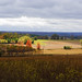 Paul Alliston Photo 8