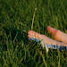 Sarah Gravely Photo 15