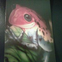 Debra Franke Photo 7