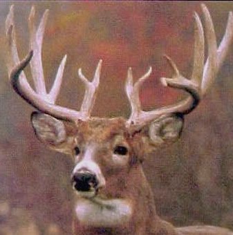David Applegate Photo 13
