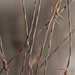 Michelle Cortese Photo 18