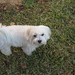 Sammy Meeks Photo 5