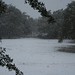 Robert Weiss Photo 59