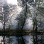 Diane Patrick Photo 37