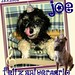 Joe Geiser Photo 16