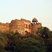 Pragati Shah Photo 15