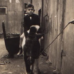 Claude Rodgers Photo 16