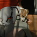 Virginia Mumford Photo 2