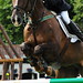 Tina Knight Photo 16