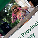 Deborah Pace Photo 19
