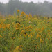 Henry Feild Photo 3