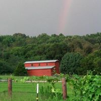 Don Webster Photo 31