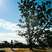 Robyn Hill Photo 7