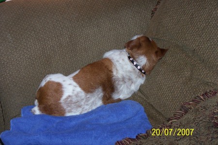 Darla Allen Photo 23