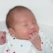 Harry Fraser Photo 2