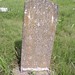 Ann Pearson Photo 14