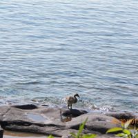 Julie Scherer Photo 16