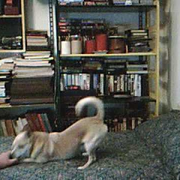 Norman Ross Photo 48
