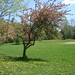 Ann Scheffler Photo 10