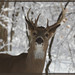 Glenda Hunter Photo 21
