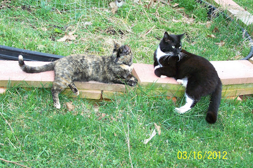Frances Scott Photo 24