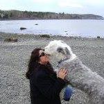Lisa Bessen Photo 6