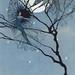 Elizabeth Watts Photo 26