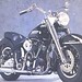 Shelly Davidson Photo 33